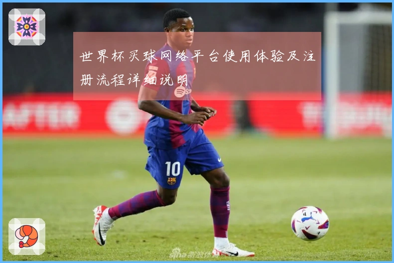 世界杯买球网络平台使用体验及注册流程详细说明