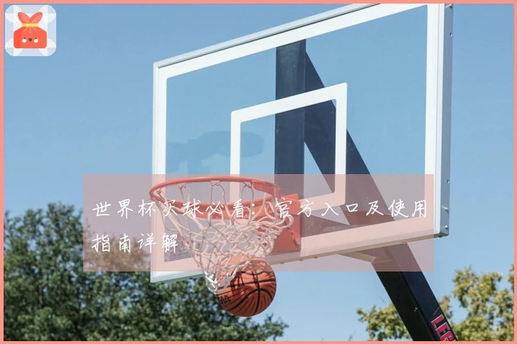 世界杯买球必看：官方入口及使用指南详解