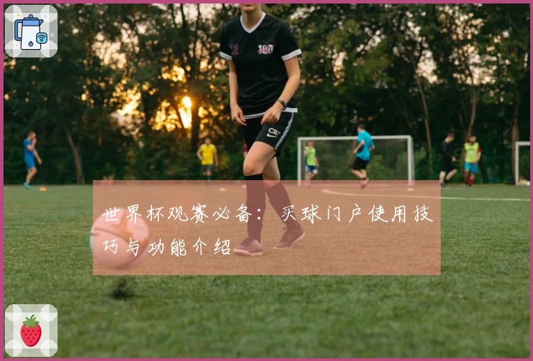 世界杯观赛必备：买球门户使用技巧与功能介绍