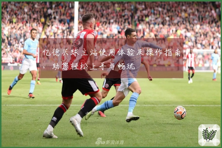 亿德买球主站使用体验及操作指南，助您轻松上手与畅玩