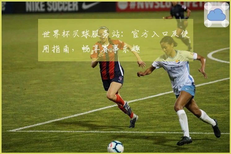 世界杯买球服务站：官方入口及使用指南，畅享赛事乐趣