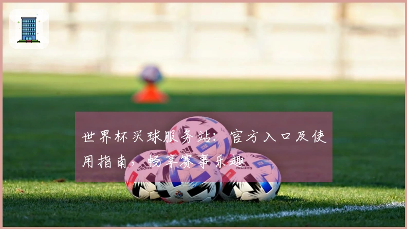 世界杯买球服务站：官方入口及使用指南，畅享赛事乐趣