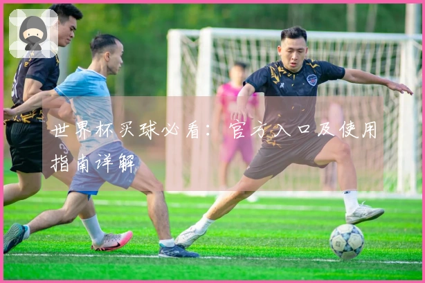 世界杯买球必看：官方入口及使用指南详解