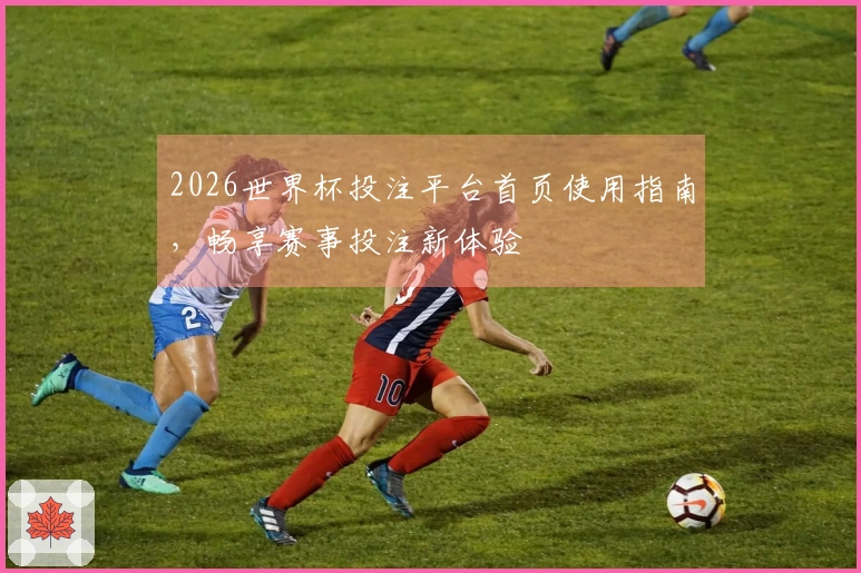 2026世界杯投注平台首页使用指南，畅享赛事投注新体验